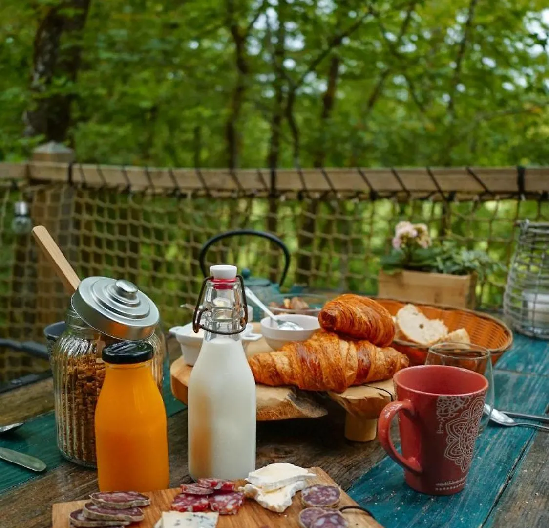 Cabanes dans les arbres avec spa Lot et Dordogne Lamothe-Fenelon